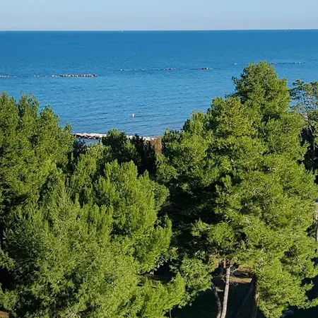Casamare